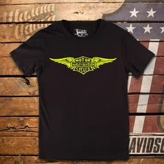 Harley Davidson, moto, bike, biker, мото, байк